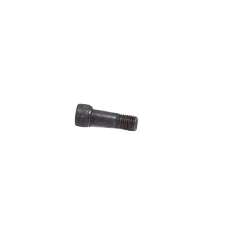 Hook Block Screw (1033)