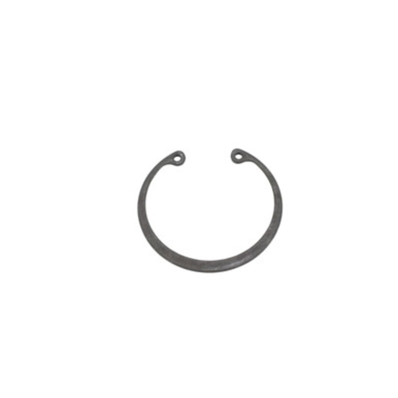 Ring-Retaining, Internal 10008301