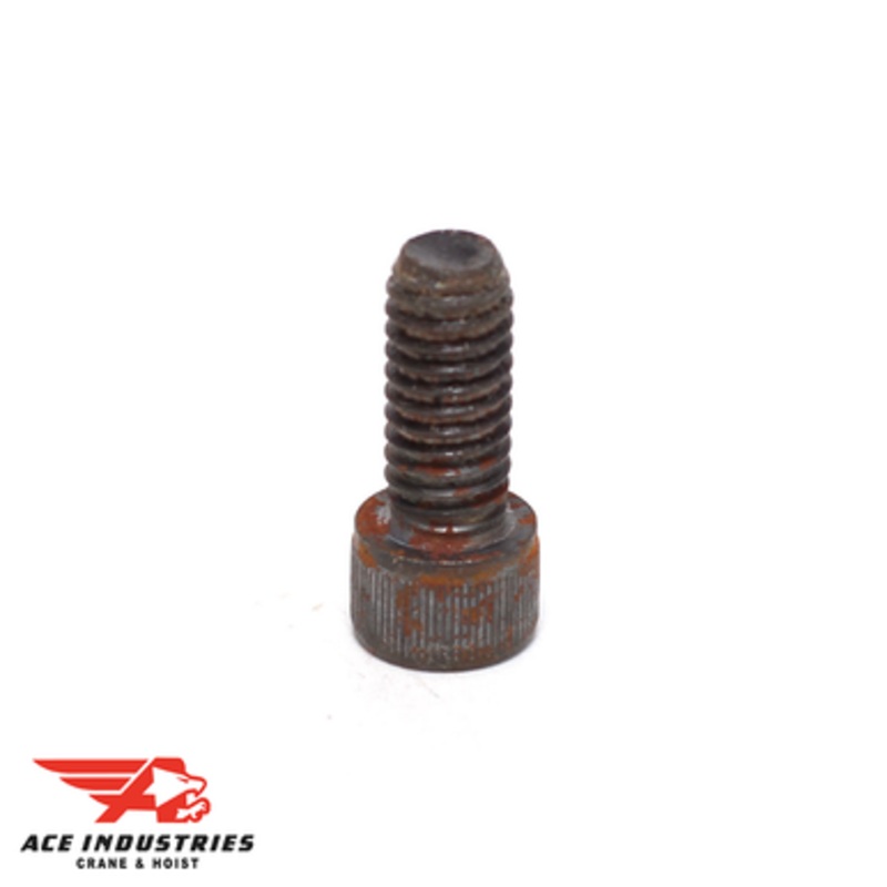 Loose End Screw (1355)