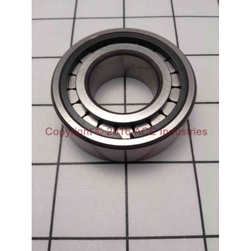 Bearing  (9917)
