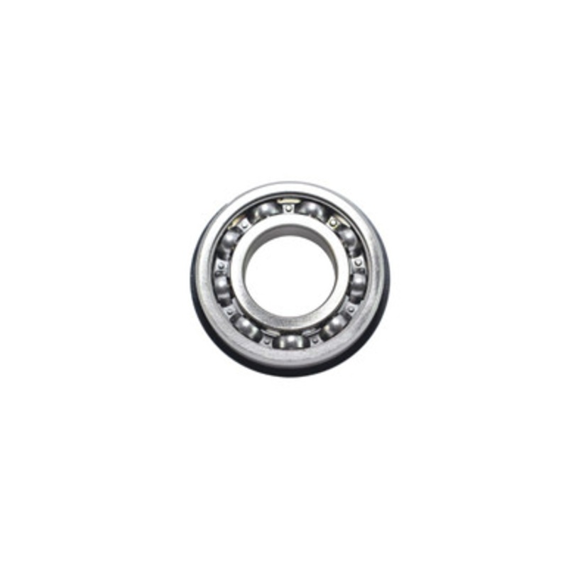 Bearing (8029)