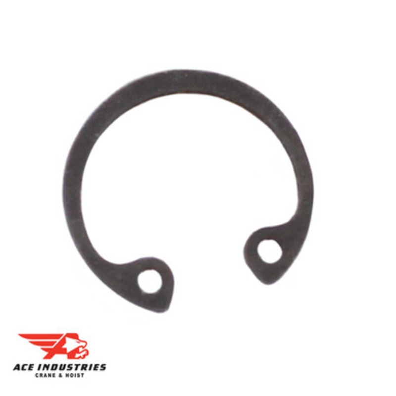 Ring, Retaining 10008324