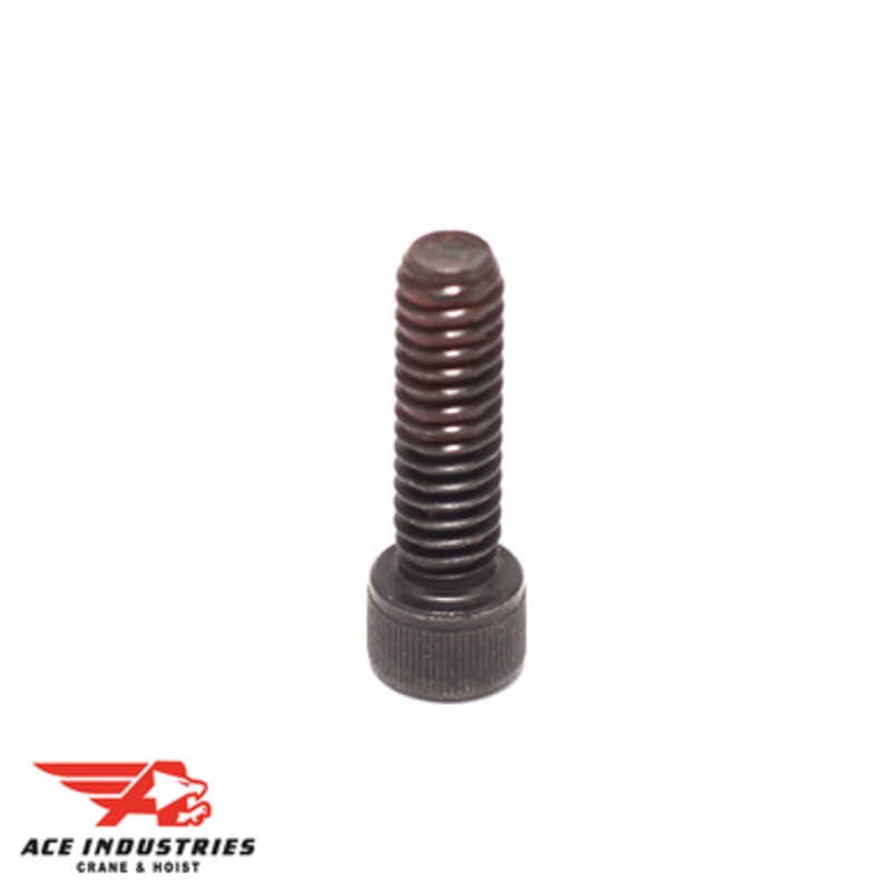 Chain Guide Attaching Screw (1080)