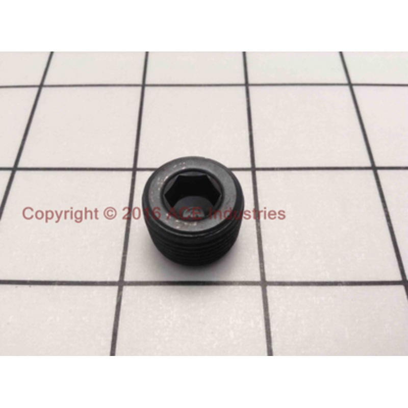 Pipe Plug (9504)