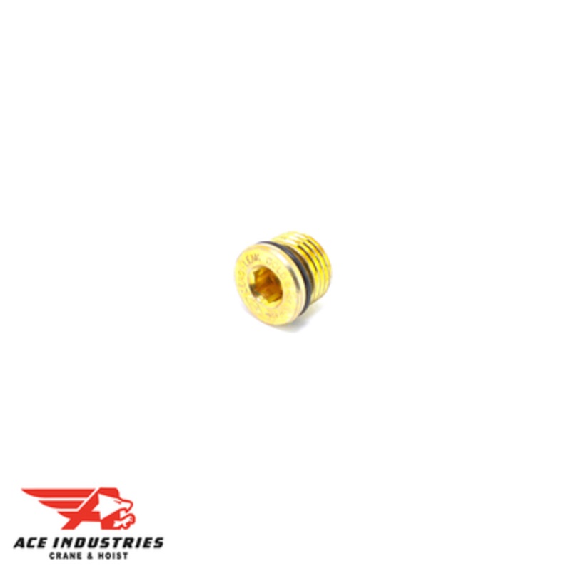 Oil Plug-Drain H6297