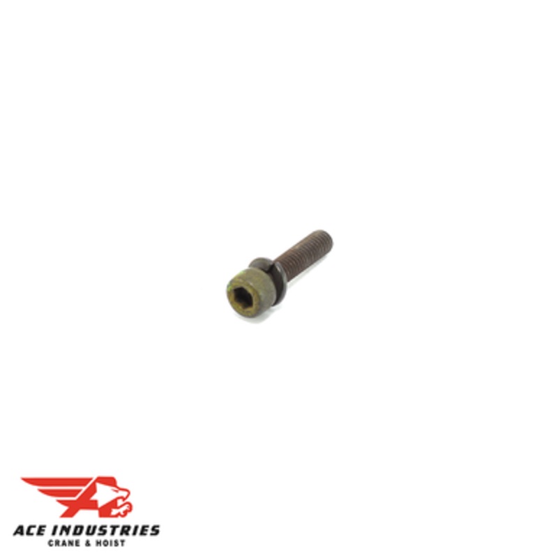 Socket Bolt 9091251