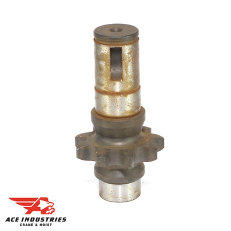 Sprocket-Roller Chain 31179001