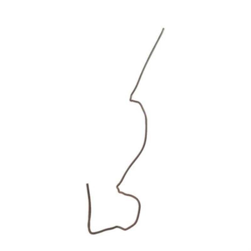 Wire Chicken Leg Form Hook