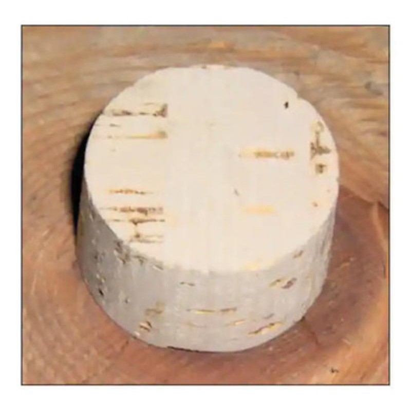 WS Tyler R-10066-A Cork Plug (RX-29/94)