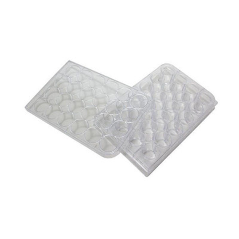 Well Plate, Clear Plastic, 96 Wells (Pk Of 10)